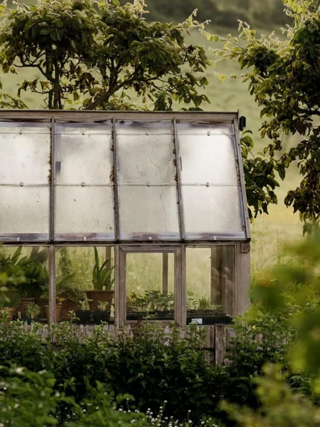 Wonderlands: British Garden Designers at Home - Image 16