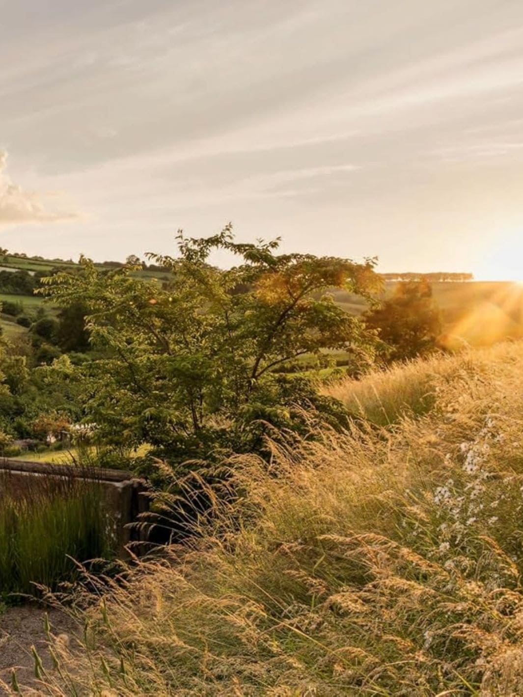 Wonderlands: British Garden Designers at Home - Image 3