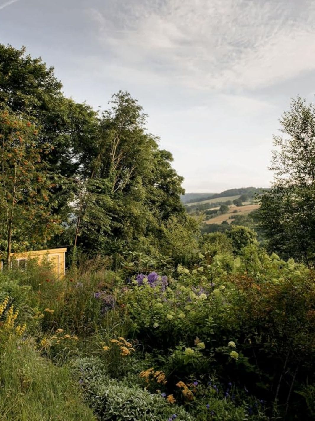 Wonderlands: British Garden Designers at Home - Image 5