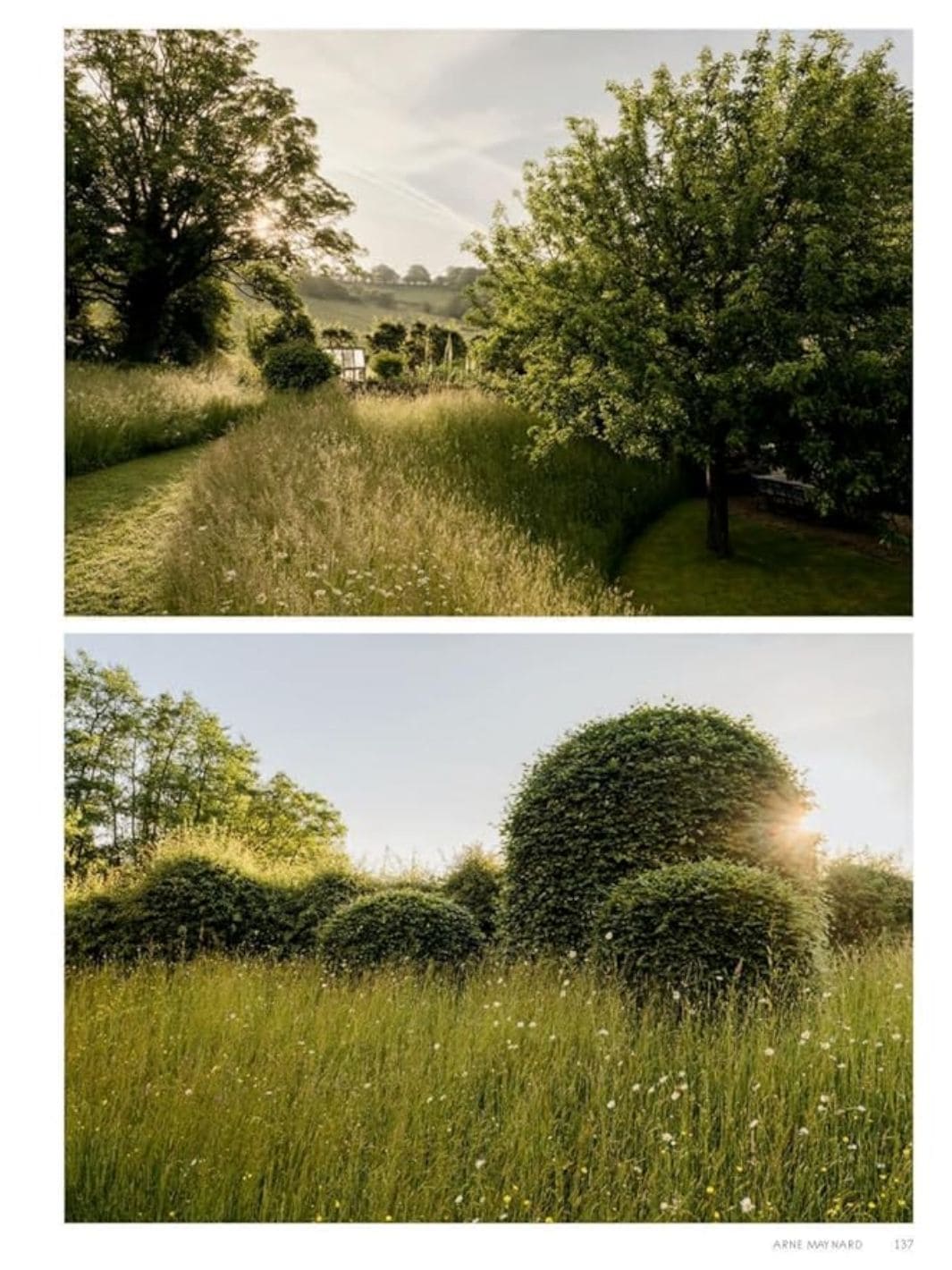 Wonderlands: British Garden Designers at Home - Image 9